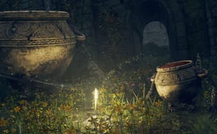 Elden Ring players will be able to tame living pots and then set them on opponents