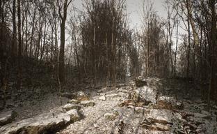 Новый Silent Hill? Разработчики загадочной Abandoned скоро раскроют секрет