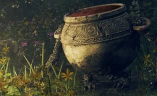 Elden Ring's latest update introduces a living pot that criticizes the player for rough skin