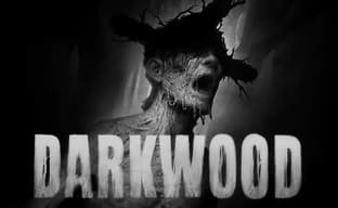 Darkwood Horror Developers Are Creating a Sports Game