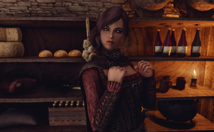 The Elder Scrolls 6 Aims to Be the Best Fantasy World Simulator