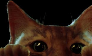 Annapurna is working on a Stray movie adaptation