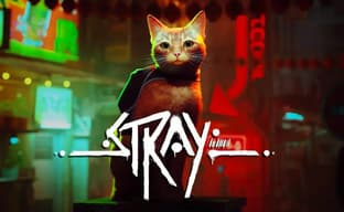 Digital Foundry сравнила Stray для Xbox и PlayStation