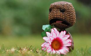 Студия-разработчик LittleBigPlanet и Dreams сократит от 15-20% персонала