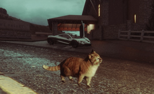 Спустя 10 лет в GTA Online появятся животные, но не на ПК. Rockstar порадует владельцев консолей нового поколения
