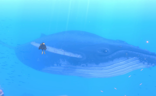 Dave the Diver официально перевели на русский язык. Mintrocket представила обновление