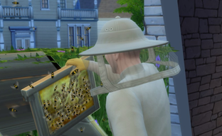 The Sims FreePlay и EA попали в «шпионский скандал». Юристы инициировали расследование деятельности разработчиков