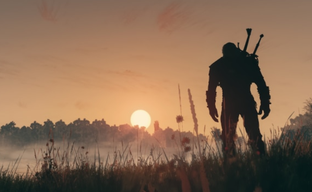 В The Witcher 3 теперь можно сыграть за чародейку и стать совой. Продвинутый мод расширяет систему заклинаний и дарует новые возможности