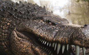 El mod de dinosaurio más descargado llegará oficialmente a ARK Survival Ascended: primer vistazo al deinocheirus
