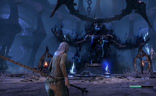 Юбилей не для всех: авторы The Elder Scrolls Online возмутили фанатов отменой праздничного офлайн-ивента в США