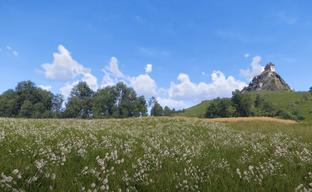 CryEngine rivals UE5 even without ray tracing. Photorealistic Kingdom Come 2 with RTX 5090 and 9800X3D
