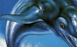Классика Sega возвращается: анонсированы ремастеры Ecco the Dolphin и Ecco: The Tides of Time, а также новая часть серии