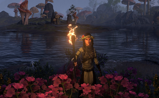 В The Elder Scrolls Online появилась поддержка модов на консолях