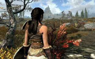 "A Todd Howard no le gustan las rarezas": el creador de TES 3 Morrowind presentó su visión del futuro de The Elder Scrolls 6