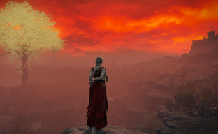 El editor de Elden Ring presenta un cereal seco al estilo del juego de FromSoftware: los fans expresan su disposición a comprarlo