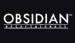 Глава Obsidian хочет вновь стать геймдиректором и делать ролевые игры