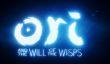 Авторы Ori and the Will of the Wisps хотят, чтобы игра работала на Xbox Series X с частотой 120 к/с