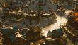 Как может выглядеть город современного World of Warcraft с высоты птичьего полёта