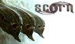 Хоррор Scorn не выйдет в 2018 году
