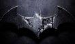 Мрачный Batman: Arkham Asylum 2