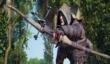Fable Legends будет использовать модель free-to-play