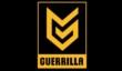 Guerrilla Games работает над новым франчайзом