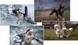 Dog Breed Pack для Fable III