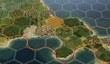 Анонс Sid Meier's Civilization V
