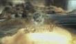 Project Dust от создателя Another World