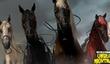 RDR Undead Nightmare: The Four Horses of the Apocalypse