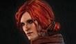 Возможность оказаться в The Witcher 2