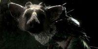 The Last Guardian в конце 2011. Официально [Трейлер]