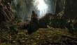 Трейлер Path of Exile