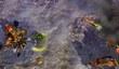 Cannon Fodder 3 в продаже