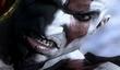 Кооперативные слухи о God of War IV