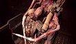 Слух: продолжение Dead Space в разработке