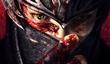 Team Ninja о Bayonetta и Ninja Gaiden II