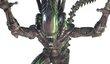 Слух: Aliens Infestation в разработке