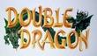 Double Dragon для 3DS и Wii Virtual Console