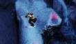Трейлеры SSX