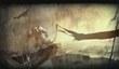 Guild Wars 2: Charr, Norn и Human