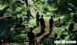 Кооператив для четверых в Far Cry 3