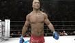 UFC Undisputed 3 не отбил вложенные средства. THQ продала ЕА лицензию UFC 