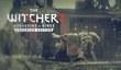 Дневники разработчиков The Witcher 2: Assassins of Kings Enhanced Edition