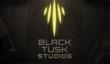 Black Tusk Studios работает над «следующим большим развлекательным франчайзом Microsoft»