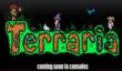 Terraria появится в PSN и XBL