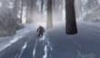 Дневники разработчиков Assassin's Creed III