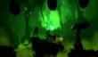 Trine 2: Goblin Menace в Steam. Скидка 75% на сборник Trine
