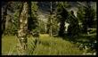 Dragon Age: Inquisition - год на полировку игры