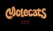 Molecats в этом году